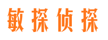 内乡市私家侦探